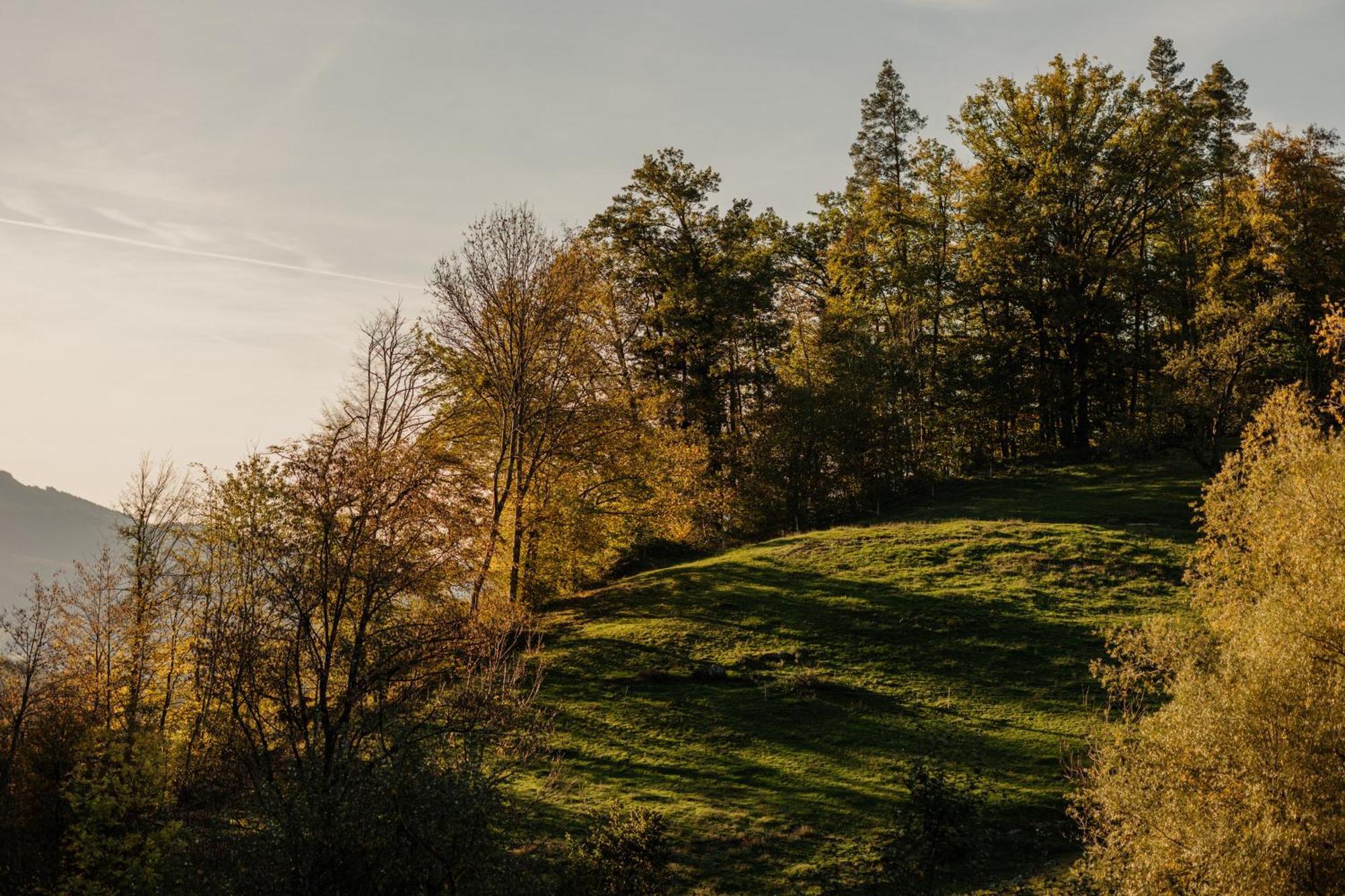 ホテル Bildungshaus Arbogast Götzis エクステリア 写真